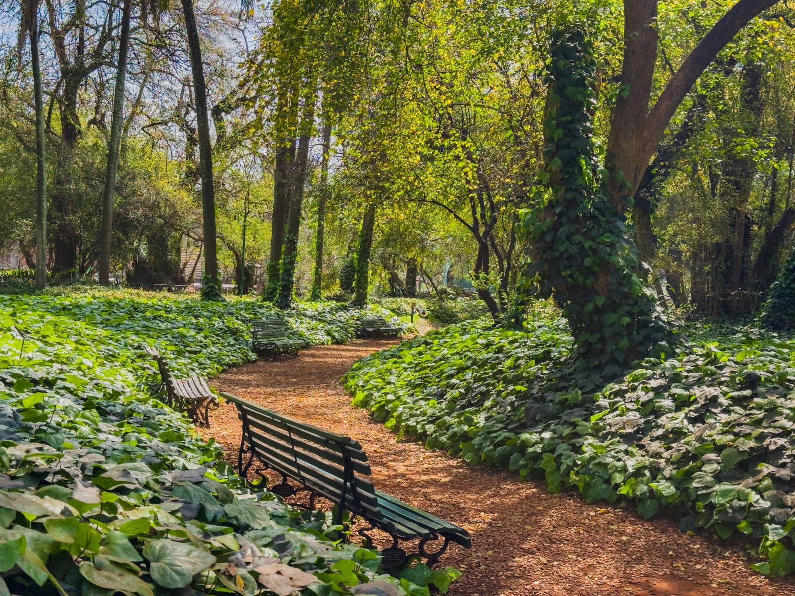 refugios para el calor