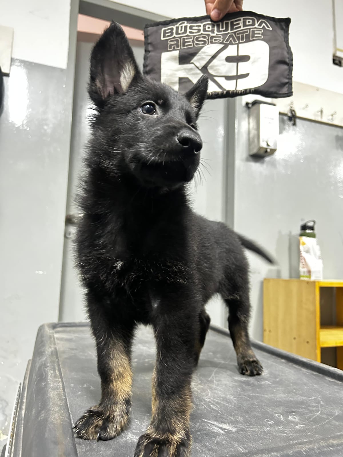 WhatsApp%20Image%202026-03-06%20at%2013.00.30