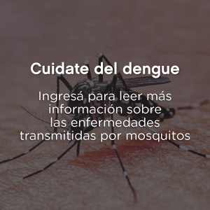 banner-dengue-escuelas verdes