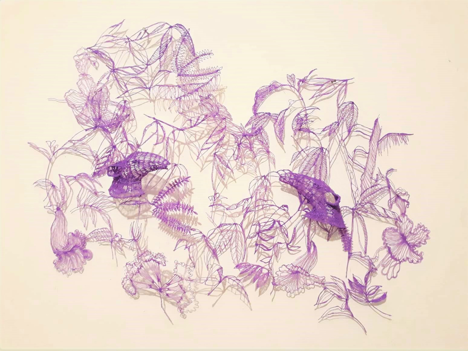 Emiliano D`Amato Mateo