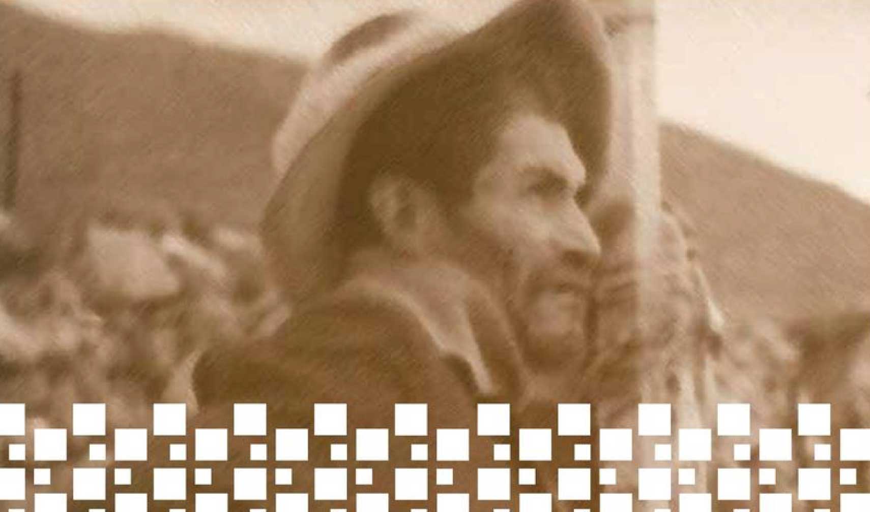 Diario de viaje de Hermógenes Cayo