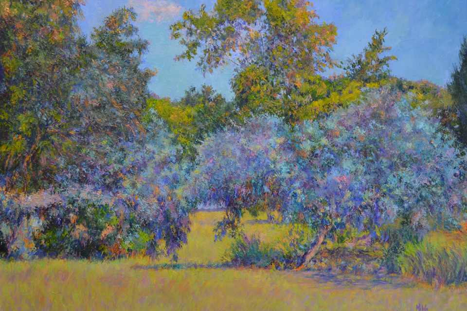 Ricardo Nicolás Mitolo. 