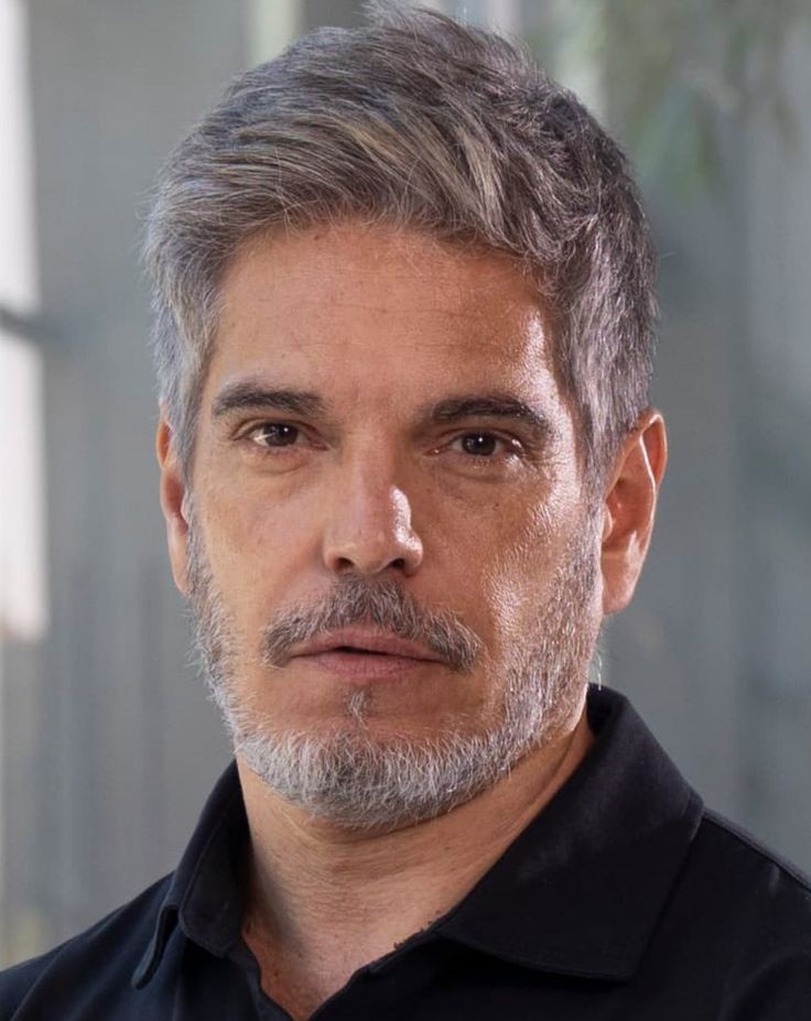 descripción alternativa