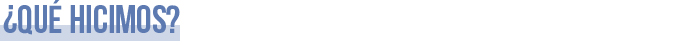 ¿Qué hicimos?