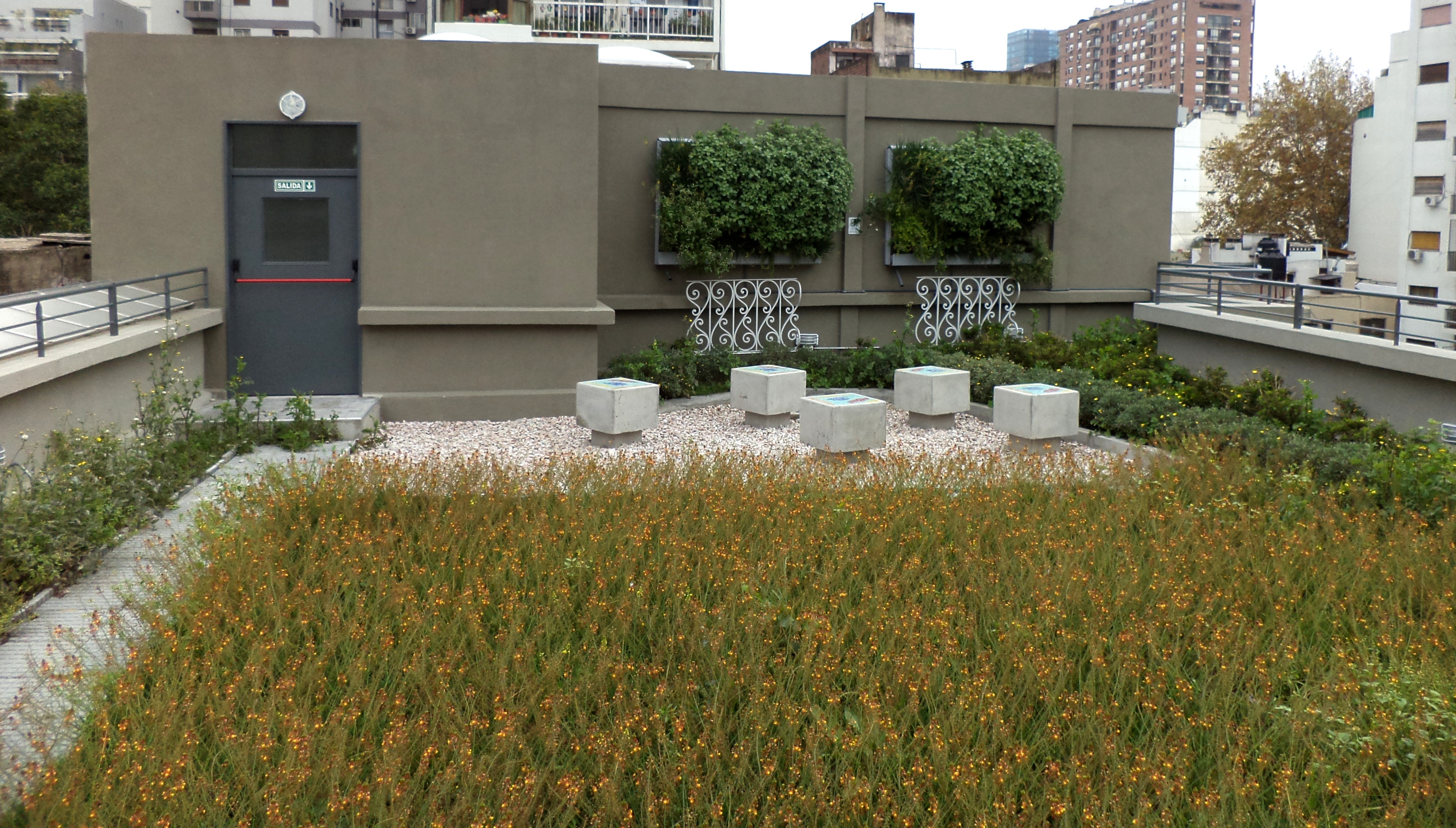 Escuelas sustentables para una Ciudad más verde