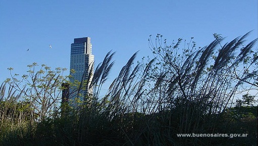 Historias de mi Comuna: Reserva ecológica Costanera Sur