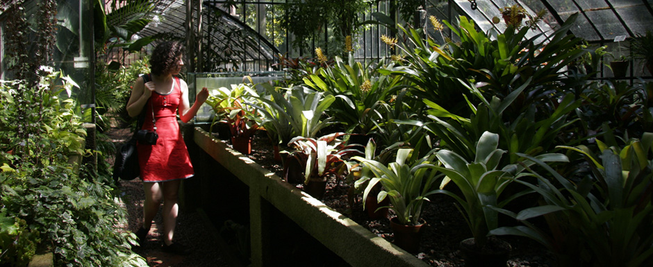 ¡Vení al Jardín Botánico!