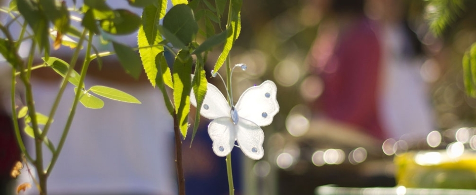 Ayudando a ahorrar agua hacemos una Ciudad Verde 