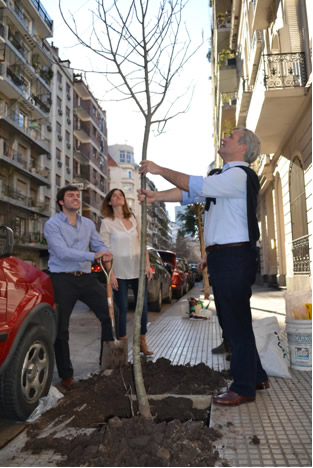 Sumamos árboles en Recoleta