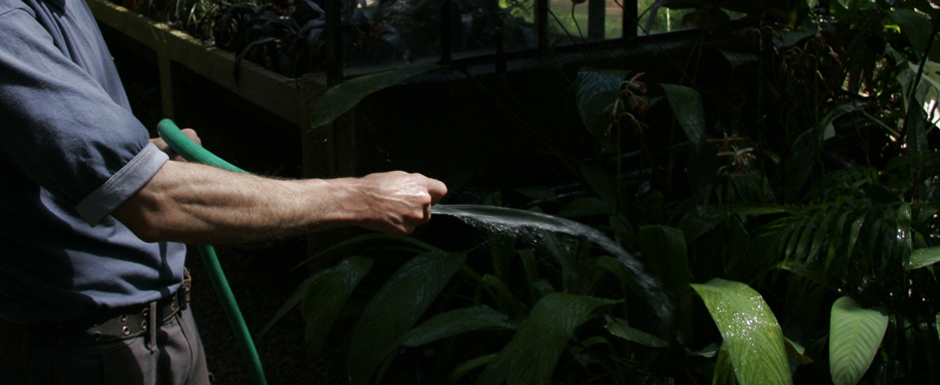 Usá manguera regulada para no derrochar el agua