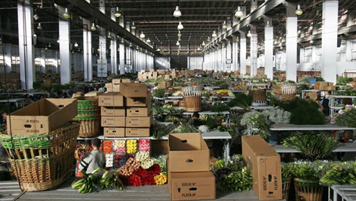 Historias de mi Comuna: Mercado de las flores