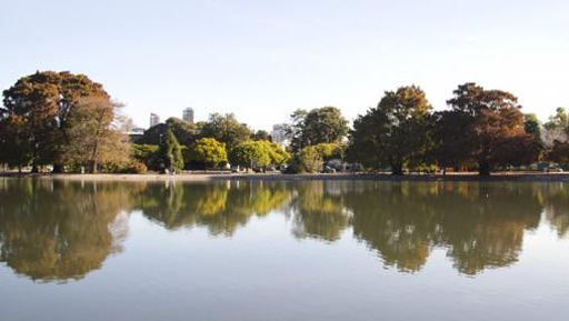 Historias de mi Comuna: El Lago de Regatas
