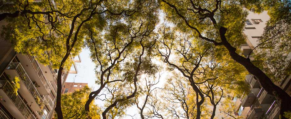 Otoño porteño