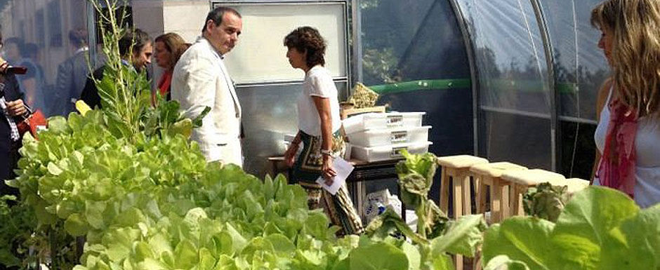 Las huertas educativas se suman a la agricultura hidropónica