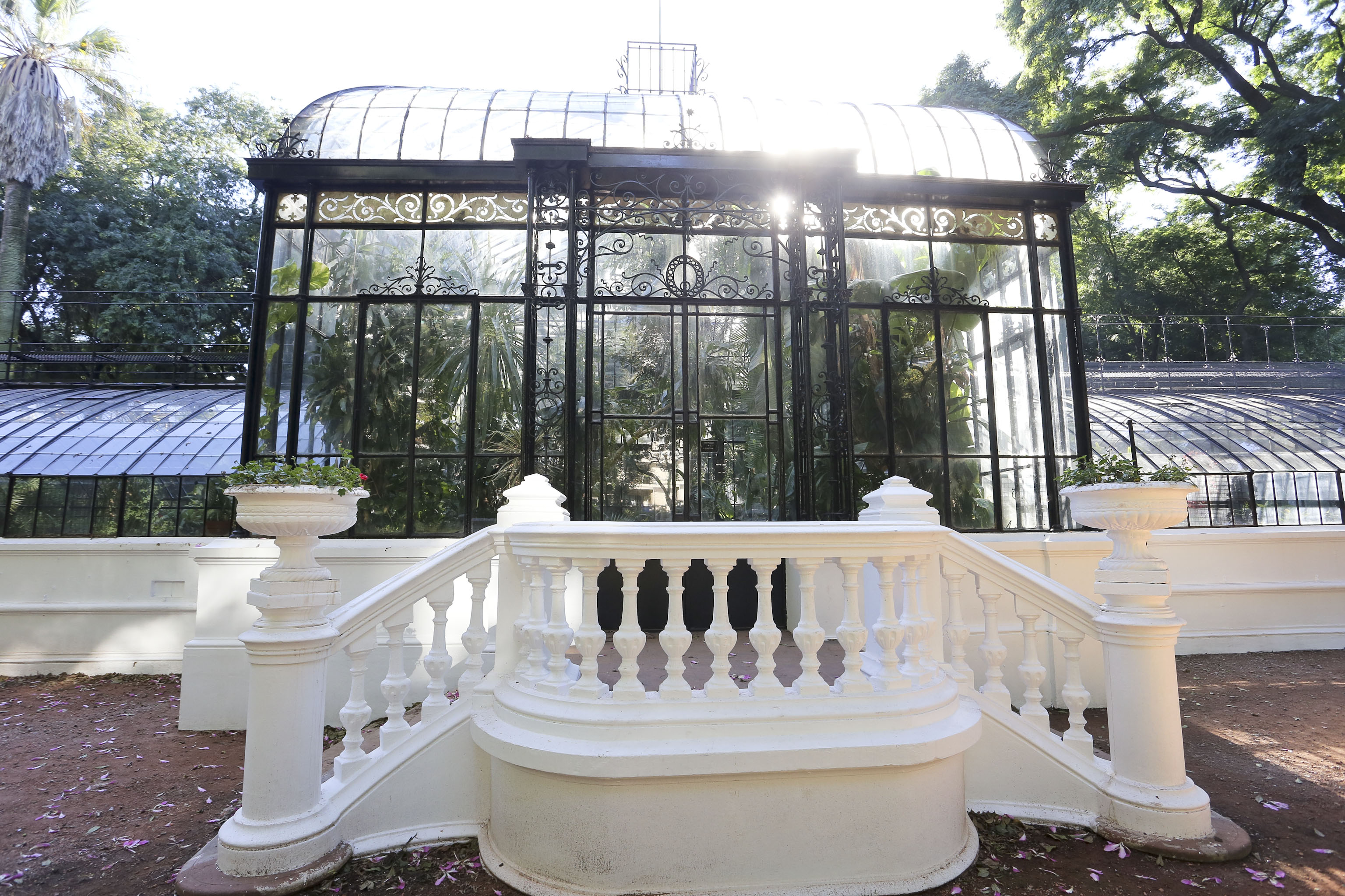 El Jardín Botánico, cada día más lindo