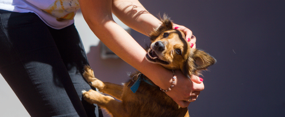  Un Merecido Homenaje.