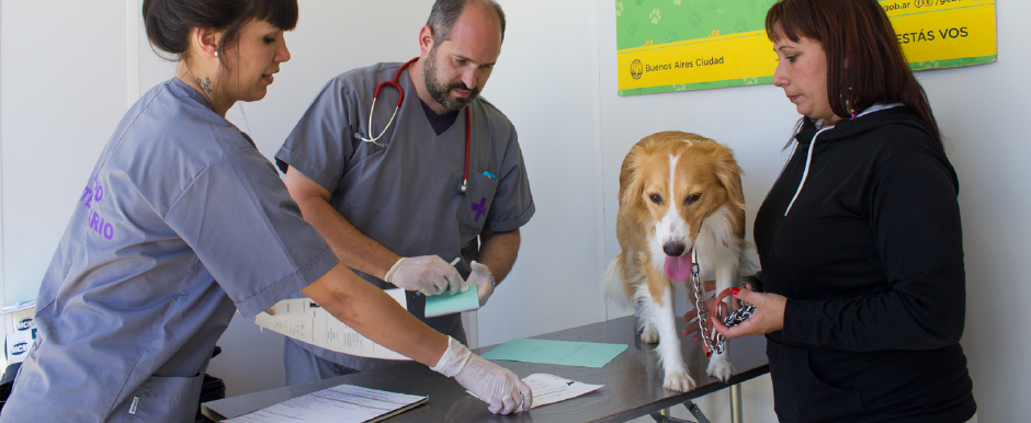 Martes 25 de febrero: Día Internacional de la Castración