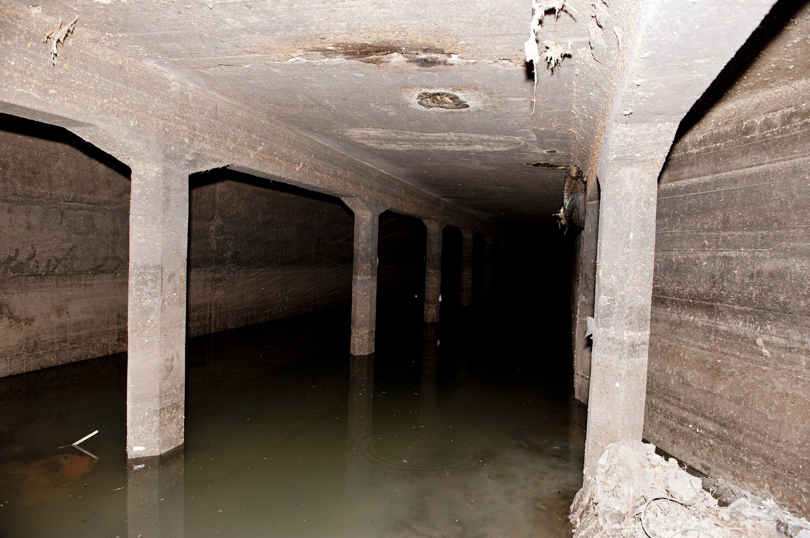 Arroyo Vega: Ya funciona el empalme con el Ramal Monroe