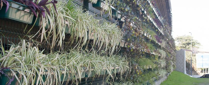 Mauricio Macri en la Plaza Tupac Amaru