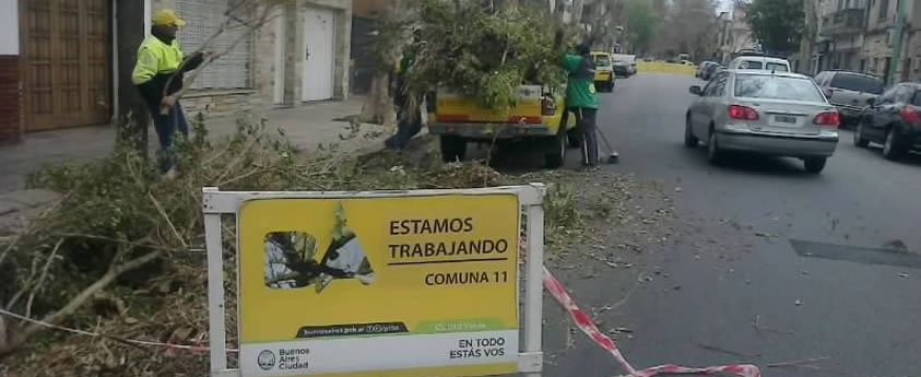 Poda en la calle Cuenca