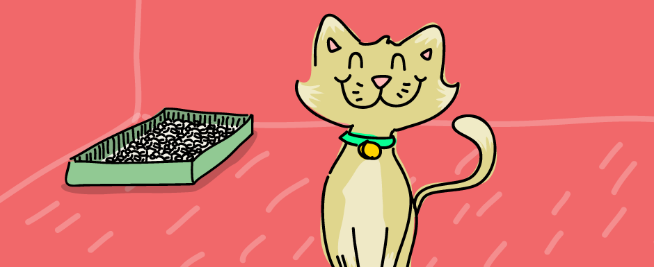 Consejos para el cuidado de tu mascota: La bandeja sanitaria