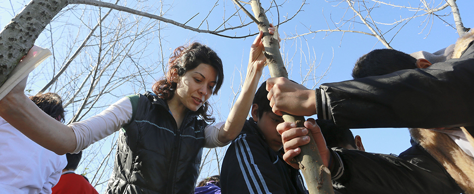 40 árboles capturan el CO2 que emiten 33 autos