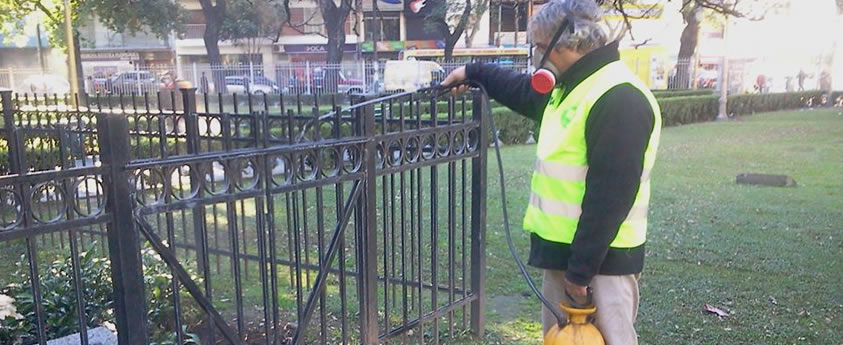 Fumigación y desratización en la Comuna