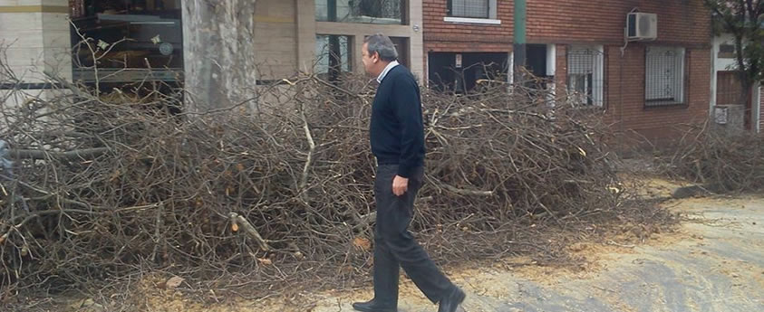 La poda invernal continúa