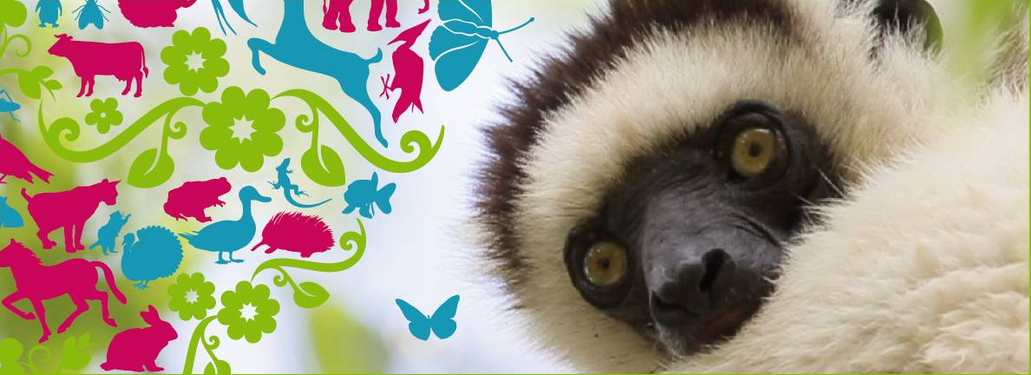 "Agua por siempre", ganador del Semillerito en el Green Film Fest