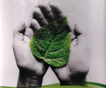 2° Seminario Internacional sobre Contrataciones Públicas Sustentables