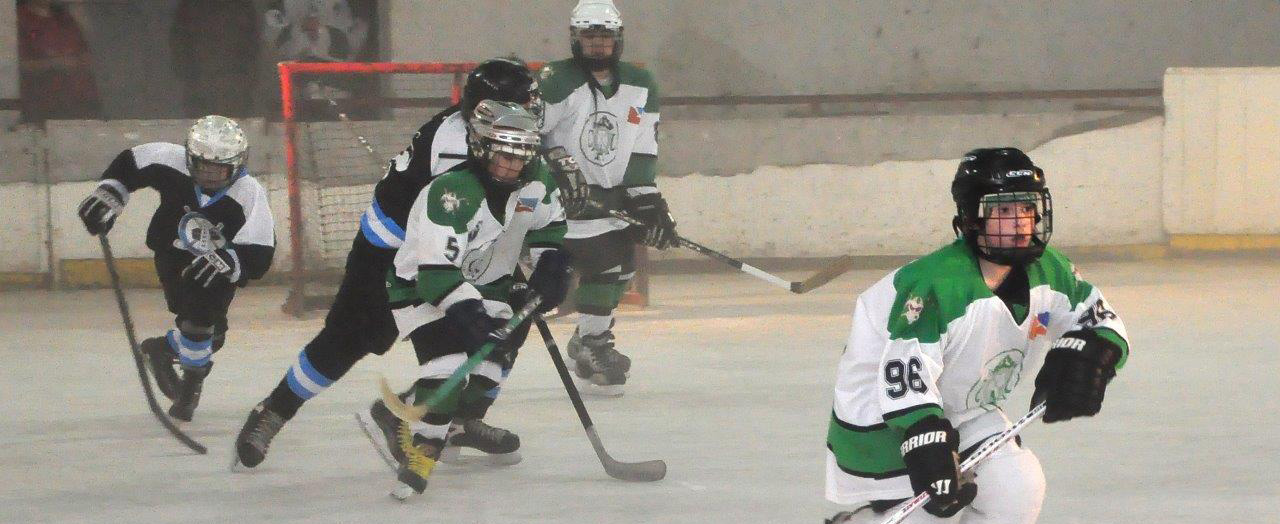 Hockey sobre hielo: continúa la Copa Honor y Respeto en Buenos Aires