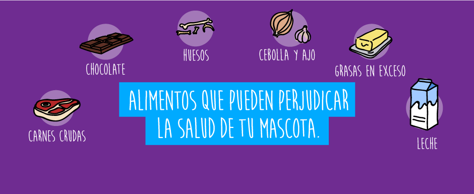 Consejos para cuidado de tu mascota: Alimentos perjudiciales para su salud.
