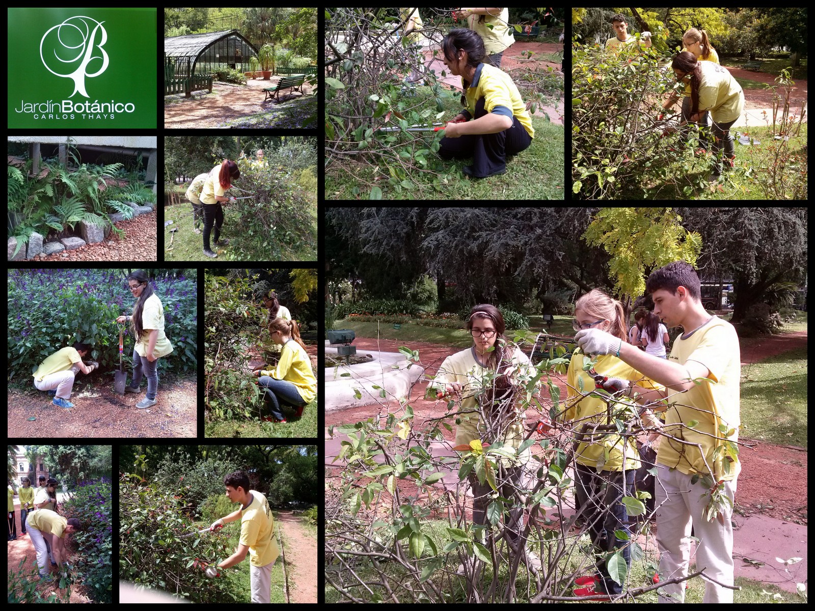 Programa Aprender Trabajando 2014‏