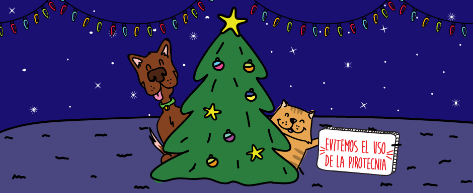 ¡Evitemos el uso de la pirotecnia!