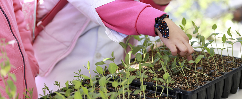 Se celebró el Día Mundial de la Educación Ambiental