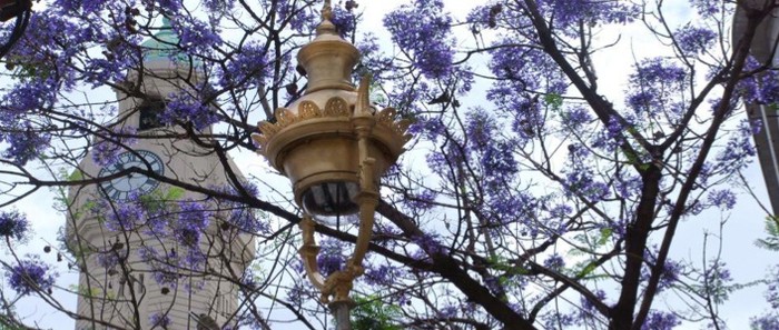 Se pusieron en valor las farolas de las diagonales Norte y Sur