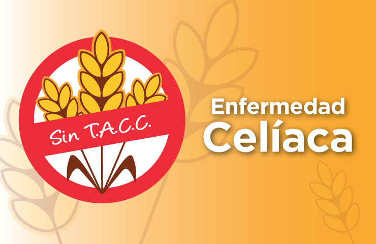 Talleres en Hospitales