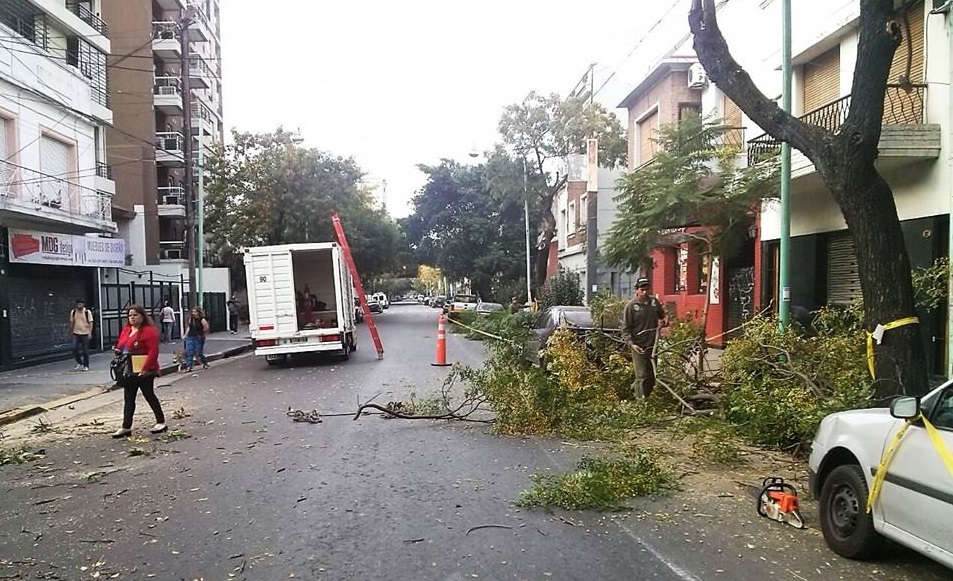 Cuadrilla en acción