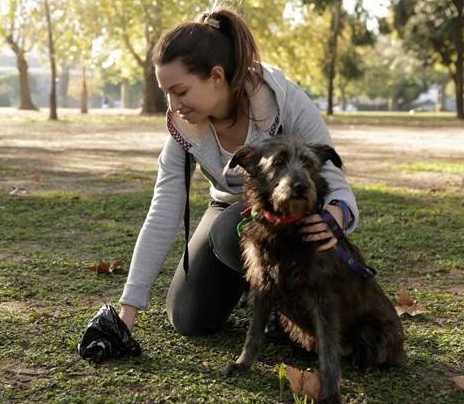Expendedoras de bolsas para mascotas