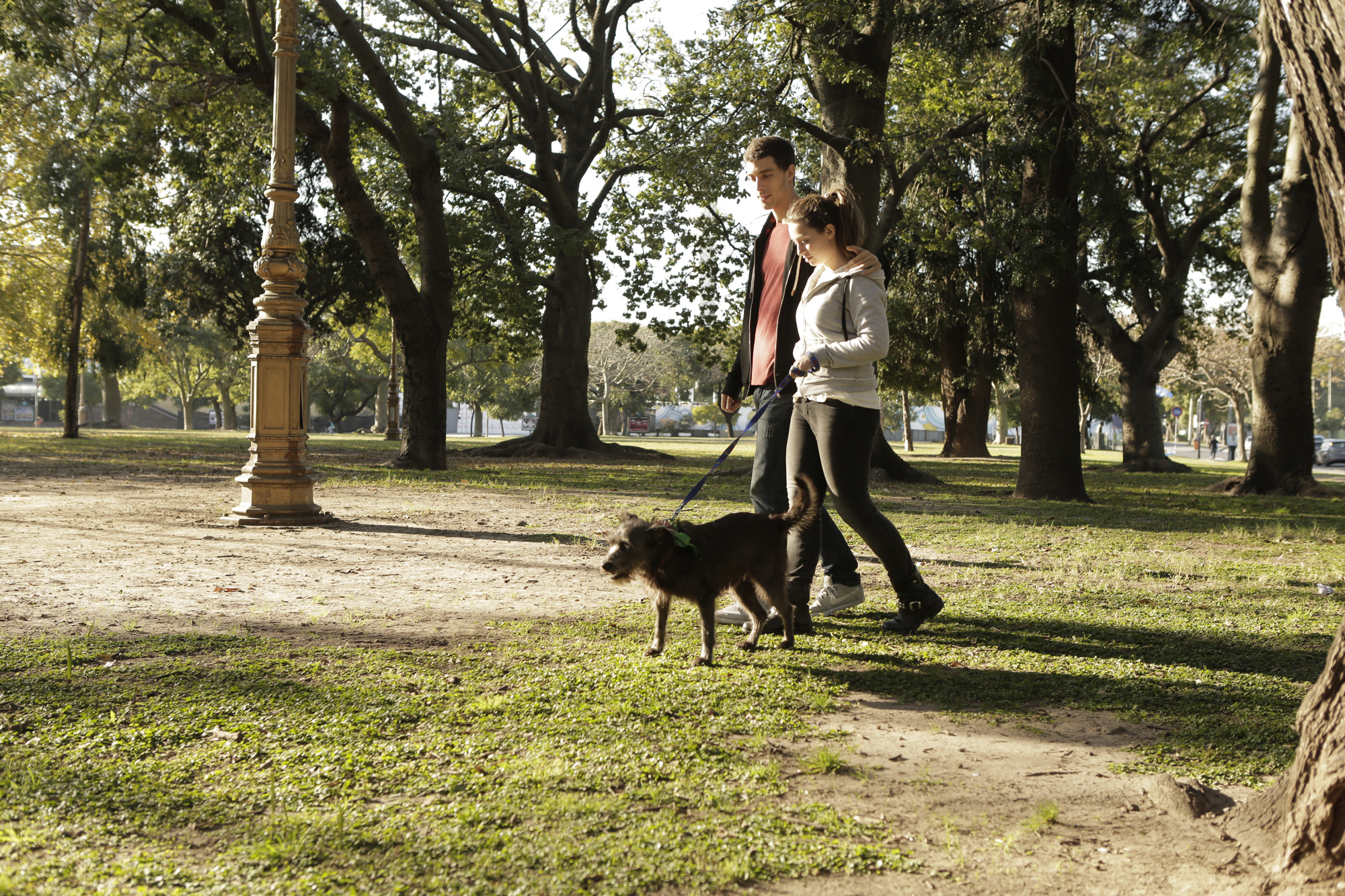 Consejos para pasear a tu mascota