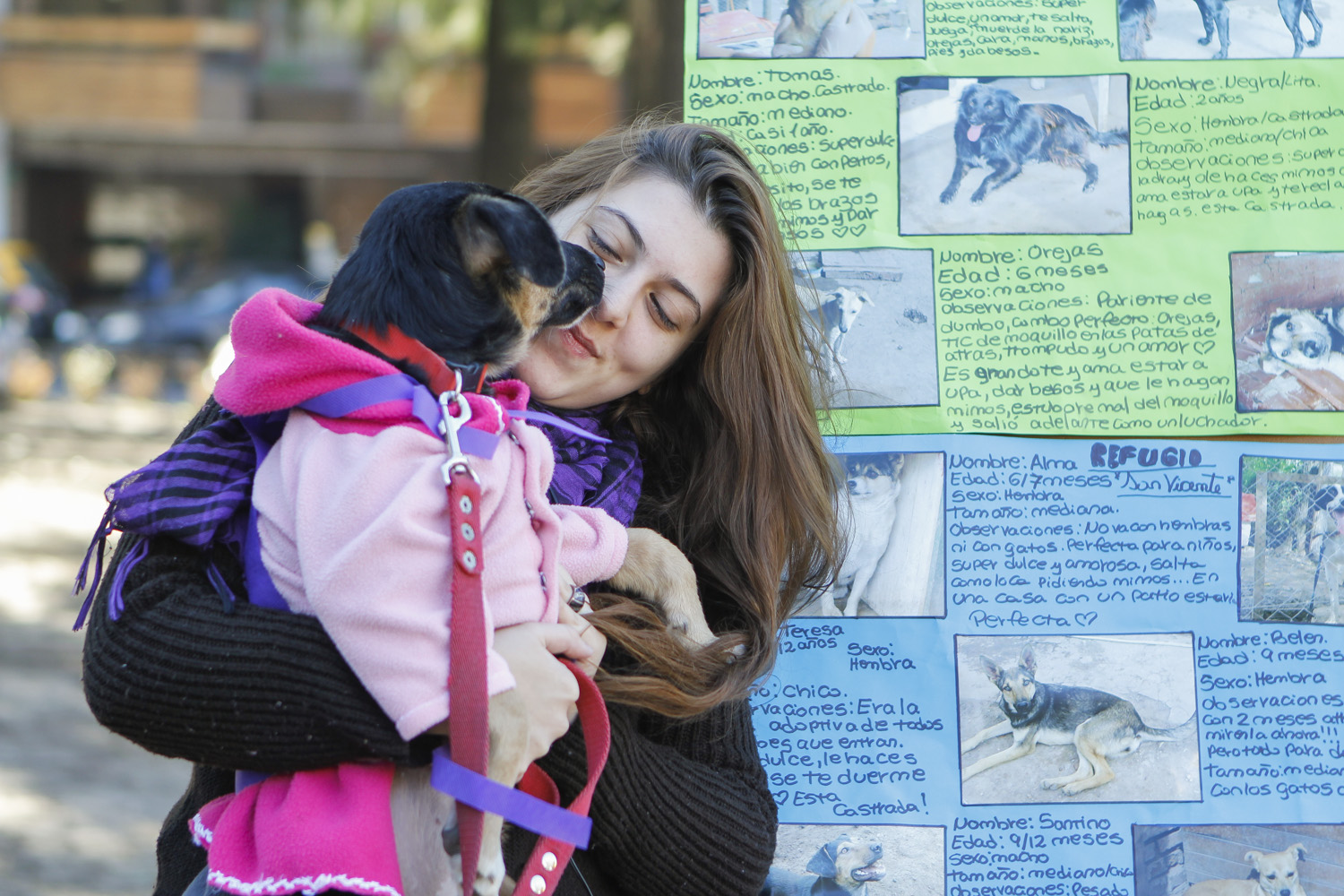 Consejos para el cuidado de tu mascota frente a las bajas temperaturas 