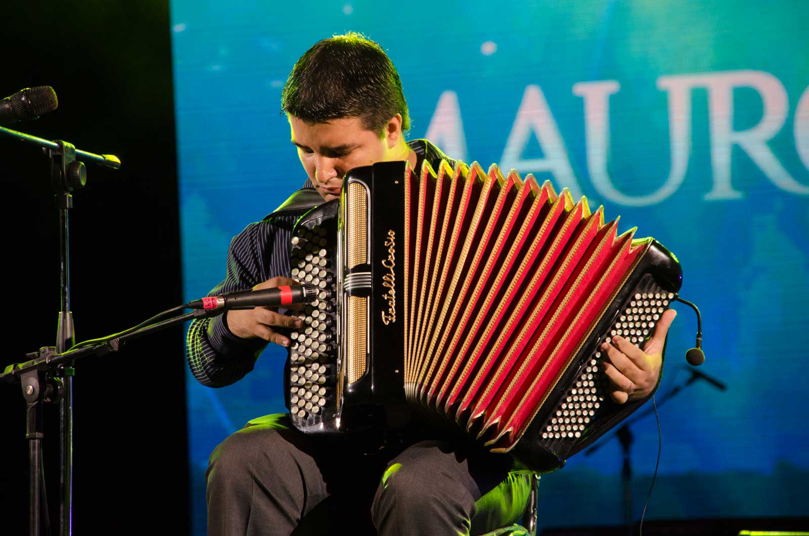 Fiesta Nacional del Chamamé en la Usina del Arte