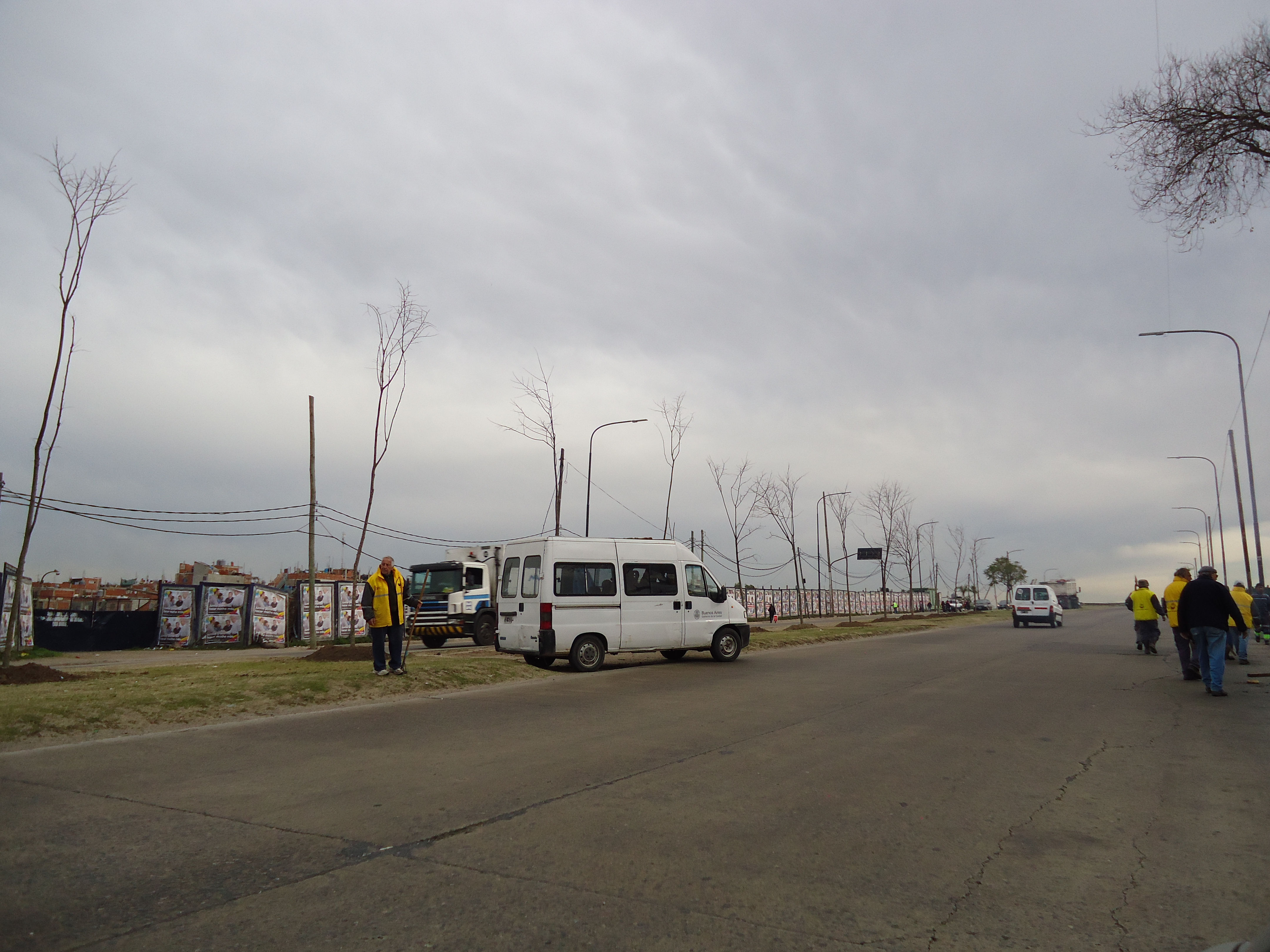 Plantación de Tilos en la Comuna 8