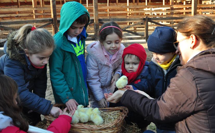 El zoológico porteño para la familia