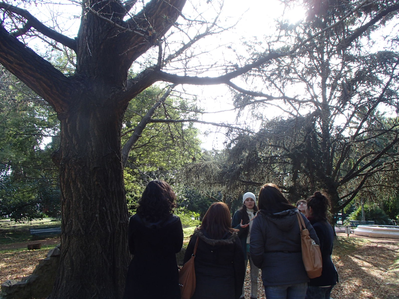 Escuela de Maestros. Capacitación docente.  
