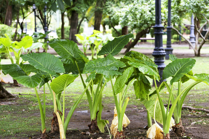 Aprovechá las últimas vacantes en los cursos gratuitos de capacitación ambiental