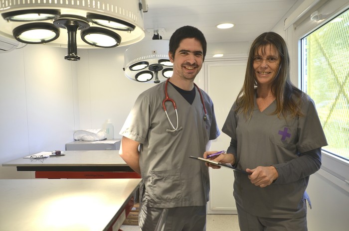 Mascotas de la Ciudad