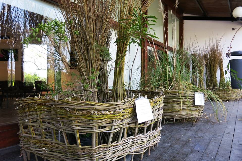 Se realizó un taller de mimbrería en la Reserva