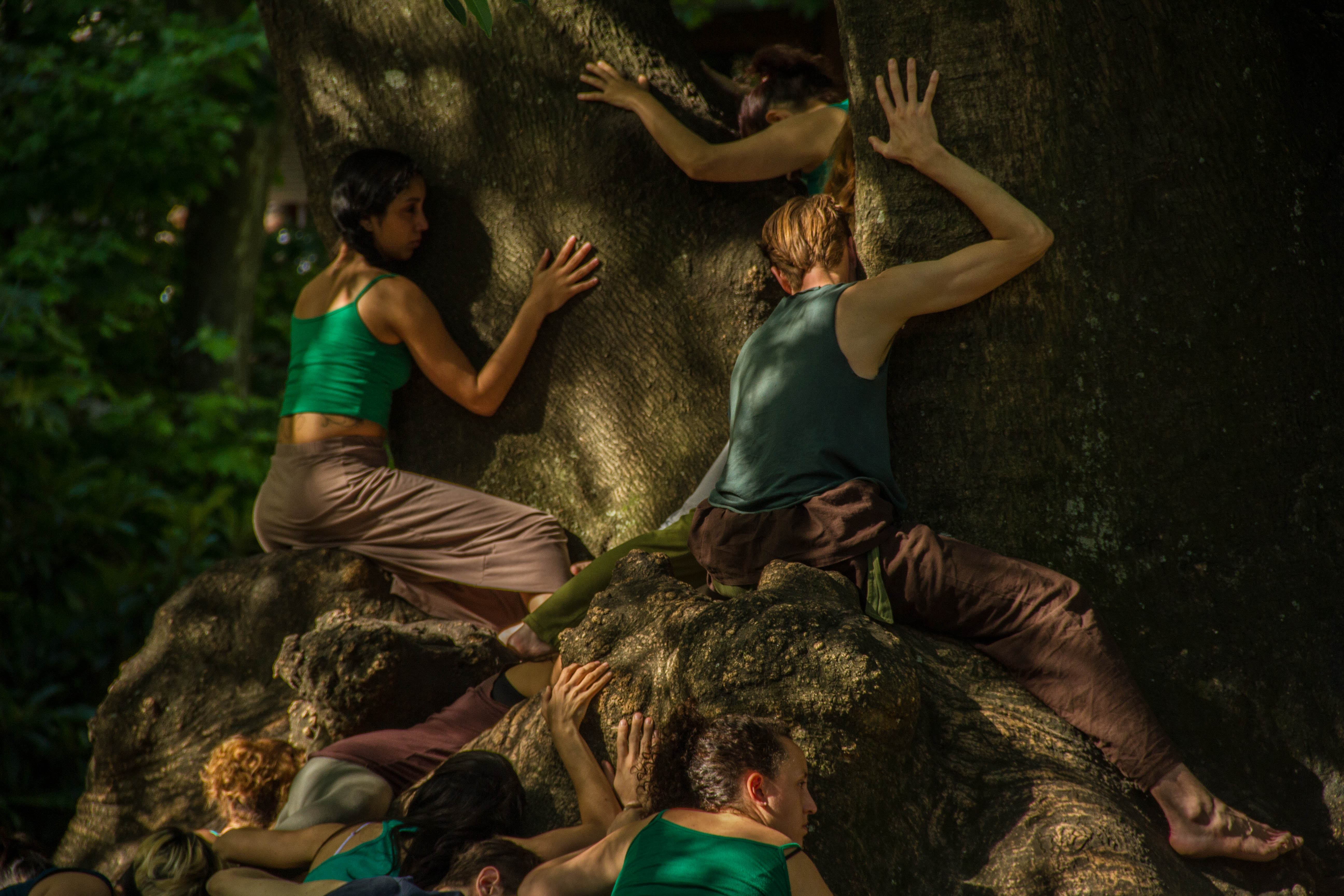 Ciclo tardes de butoh en el jardín - Domingos de noviembre 16hs.  