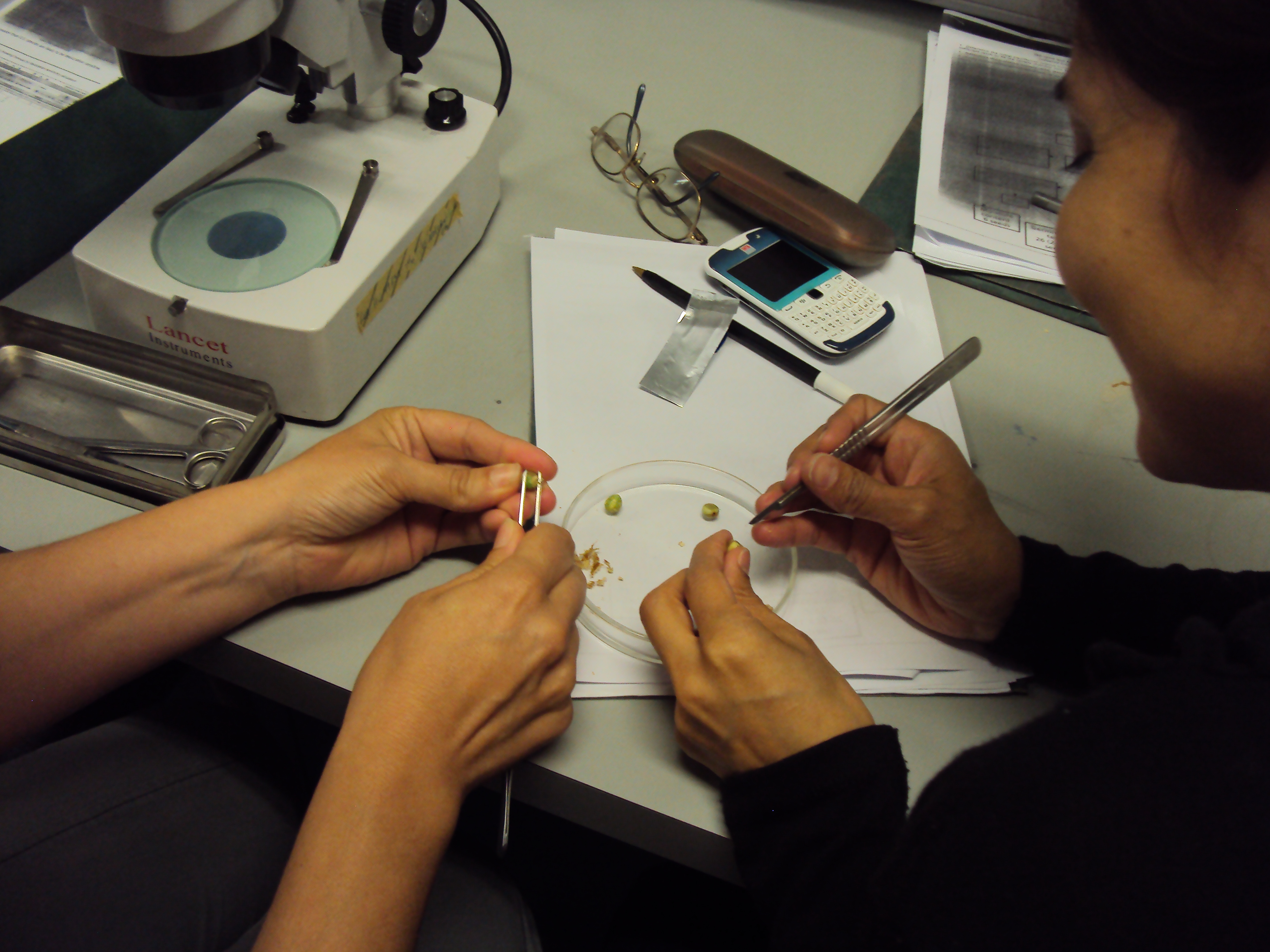 Curso de entrenamiento en Conservación de semillas